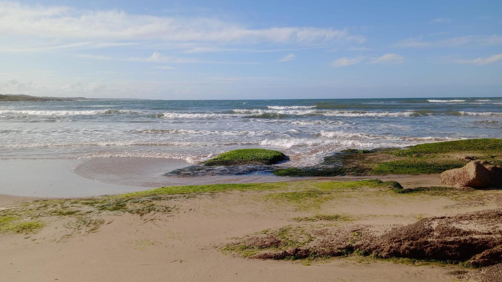 Posada Mar Azul Con Jacuzzi Acomodação com café da manhã Punta Del Diablo Exterior foto